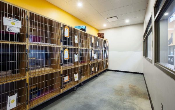 SICSA Pet Adoption & Wellness Center, Washington Township, Ohio